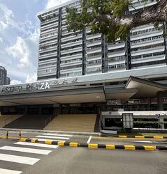 Balestier Plaza (D12), Shop House #553567371